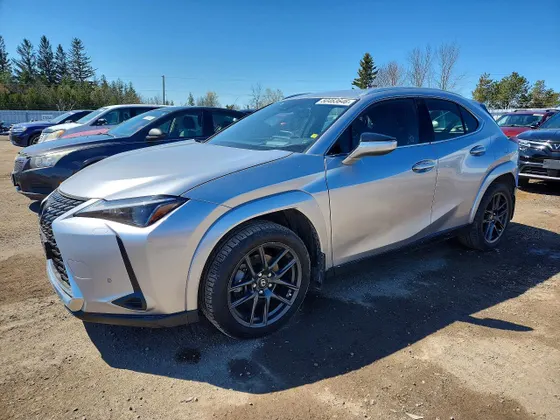 2024 Lexus UX UX 250h Luxury