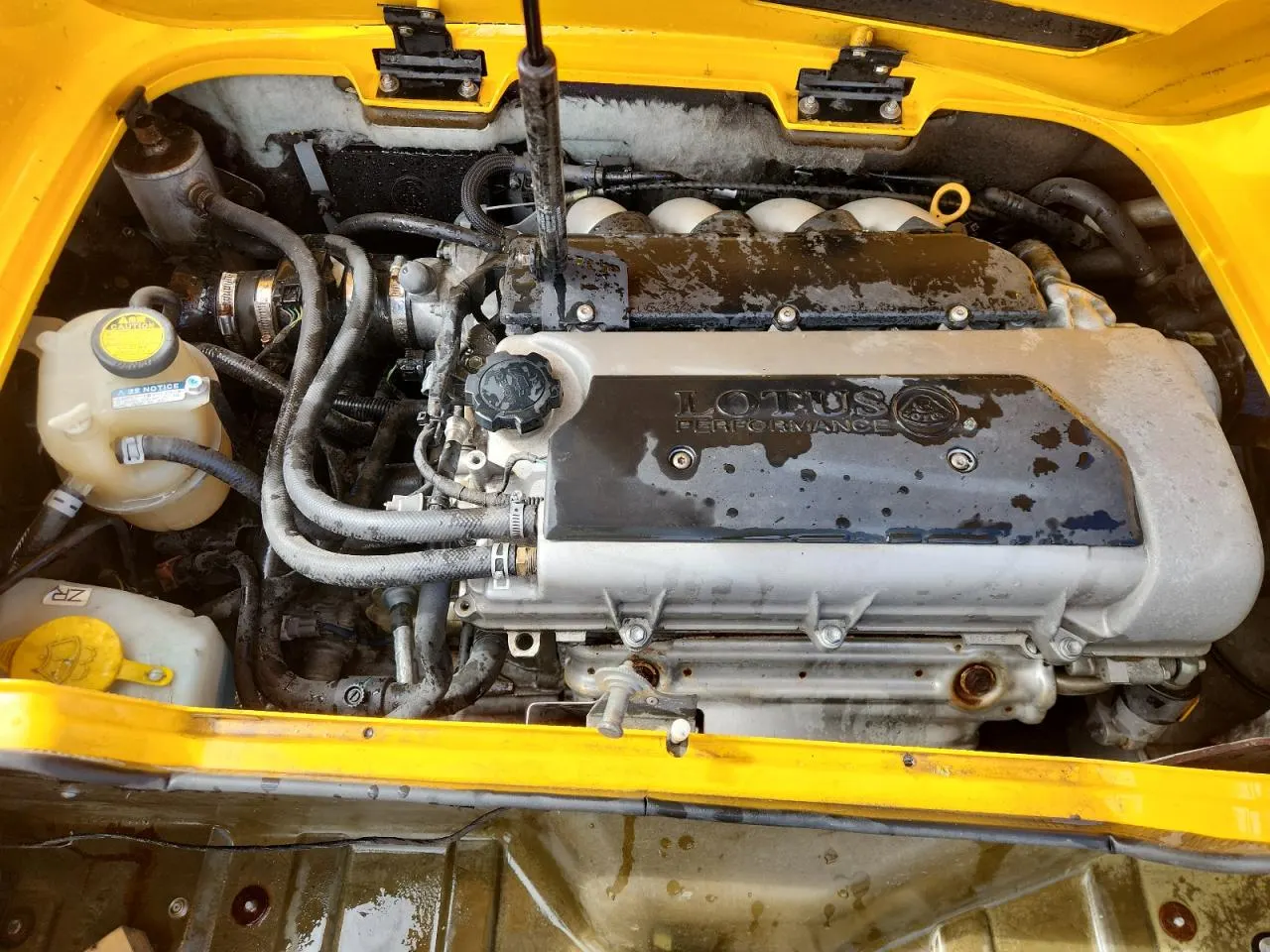 2005 Lotus Elise