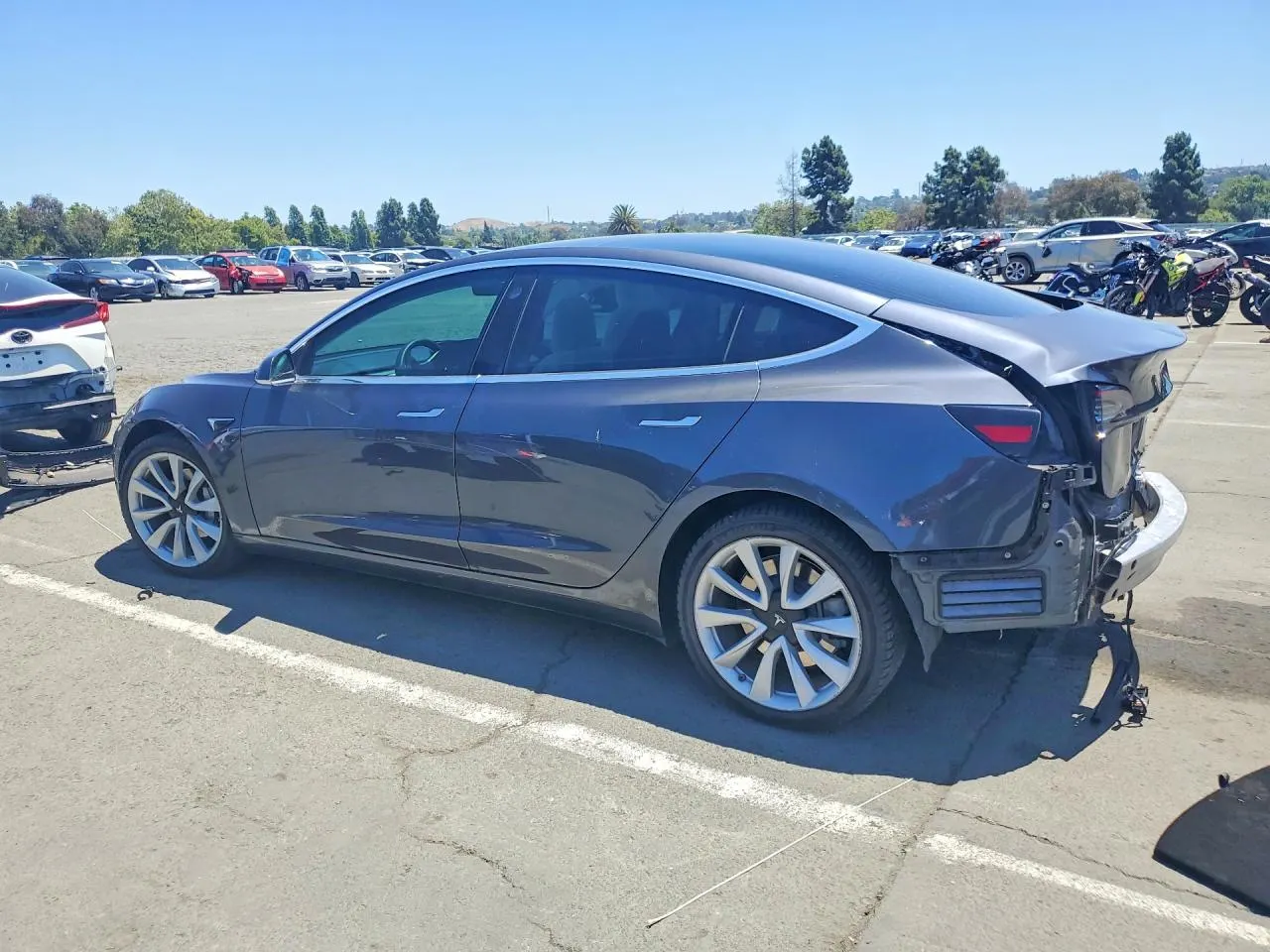 2019 Tesla Model 3 Long Range