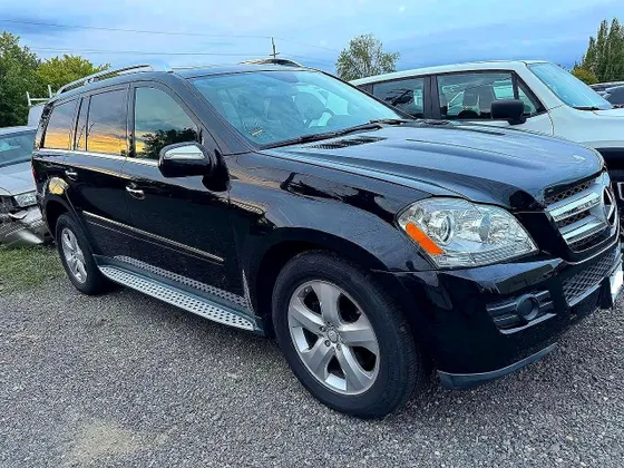 2010 Mercedes-Benz GL-Class GL 450