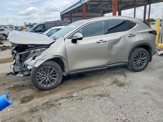 2025 Lexus NX NX 250 Premium