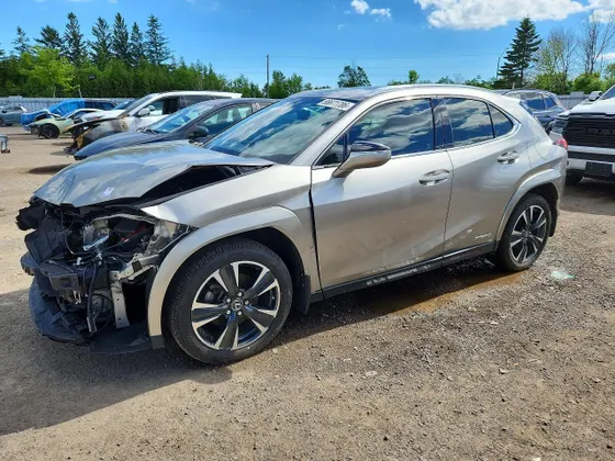 2022 Lexus UX UX 250h Luxury
