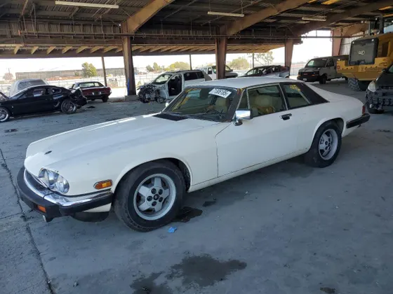 1984 Jaguar XJ XJS