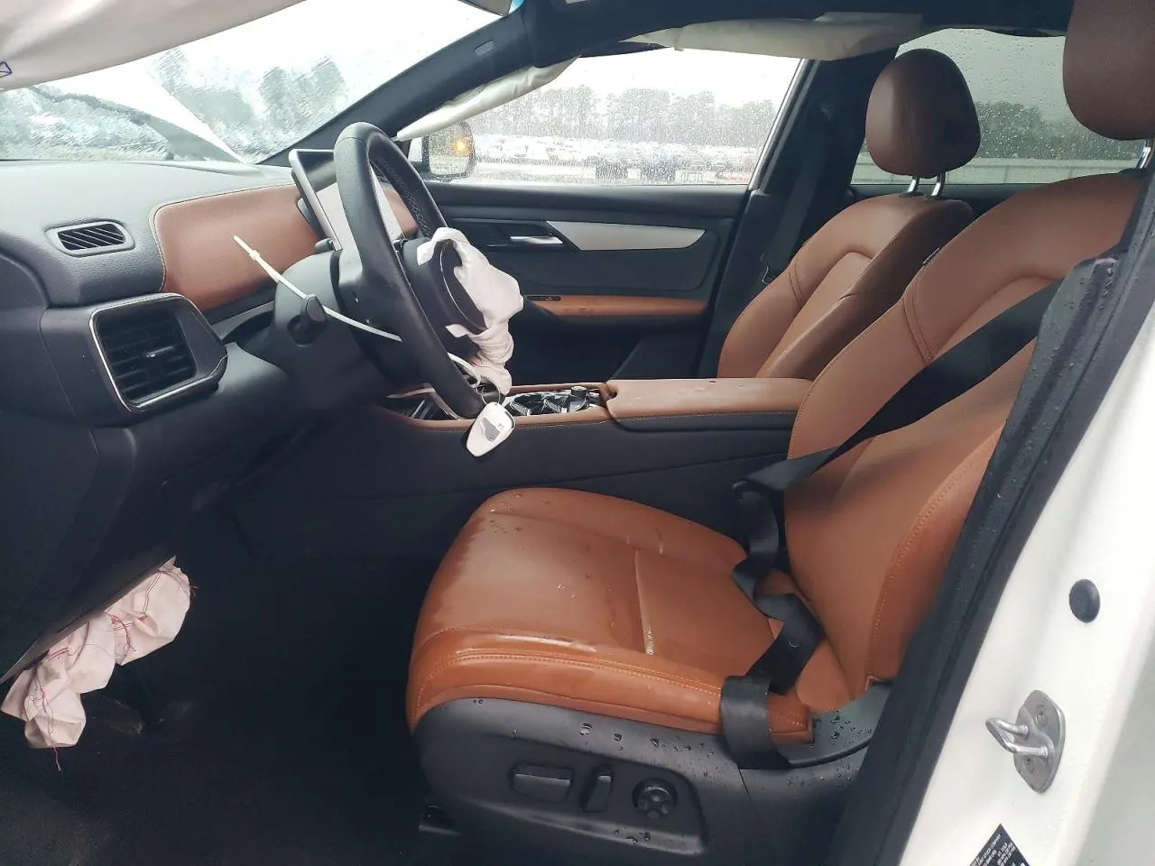 2025 VinFast VF 8 Plus