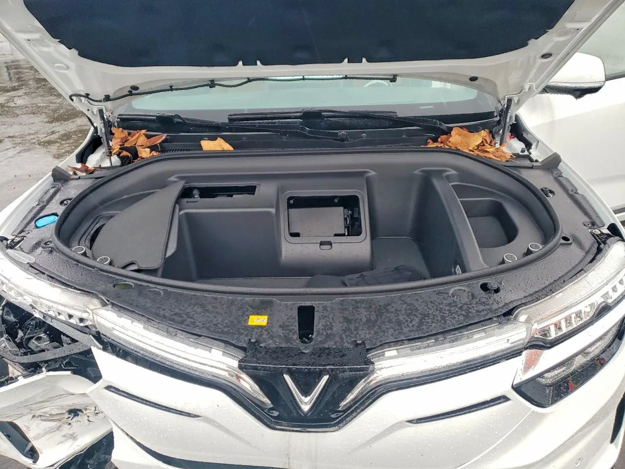 2025 VinFast VF 8 Plus
