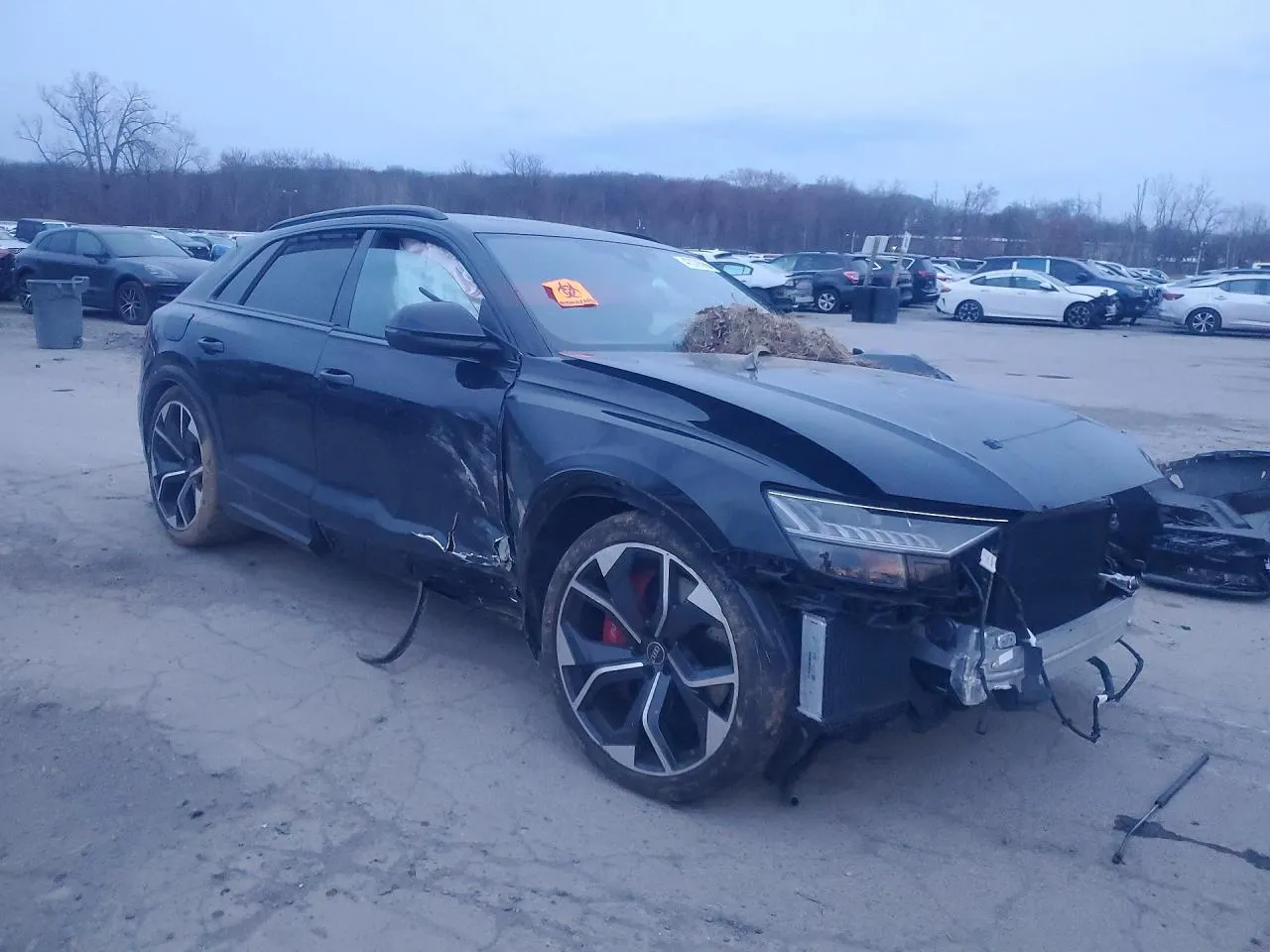 2023 Audi RS Q8