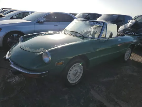 1977 Alfa Romeo Spider INIEZIONE
