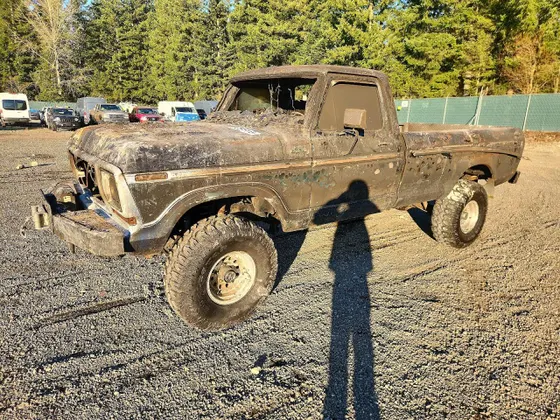 1979 Ford F-100 F100 SERIE