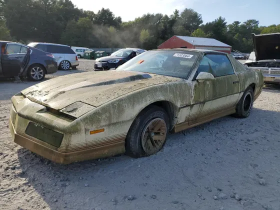 1984 Pontiac Firebird Trans Am