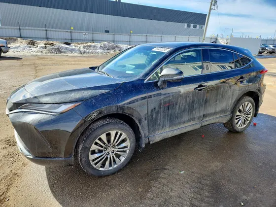 2024 Toyota Venza Limited