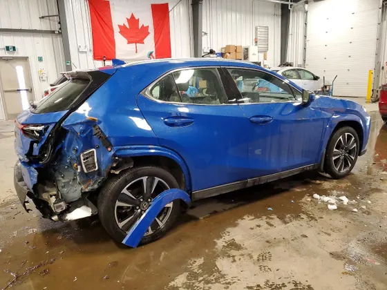 2025 Lexus UX UX 300h Premium
