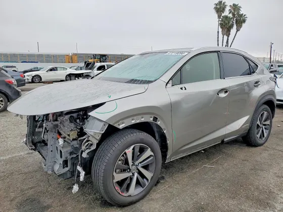 2020 Lexus NX NX 300h