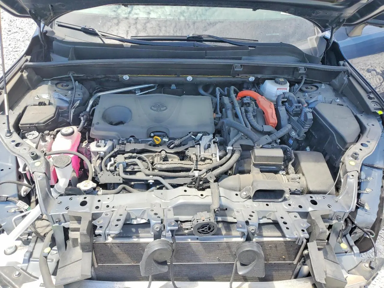 2021 Toyota Venza XLE