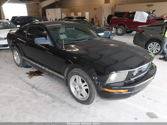 2006 Ford Mustang Standard