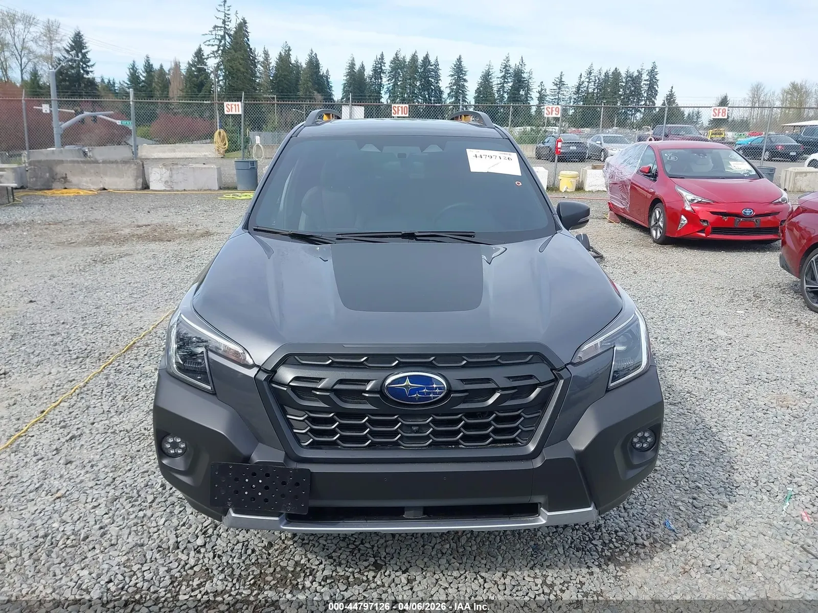 2024 Subaru Forester Wilderness