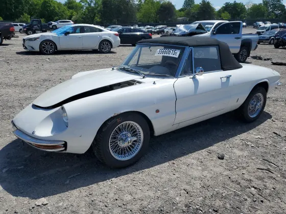 1966 Alfa Romeo Spider ROMEO DUET