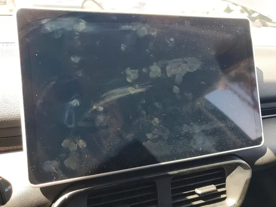 2023 VinFast VF 8 Eco