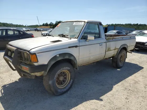 1981 Datsun 720