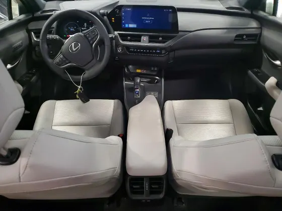 2025 Lexus UX UX 300h Premium