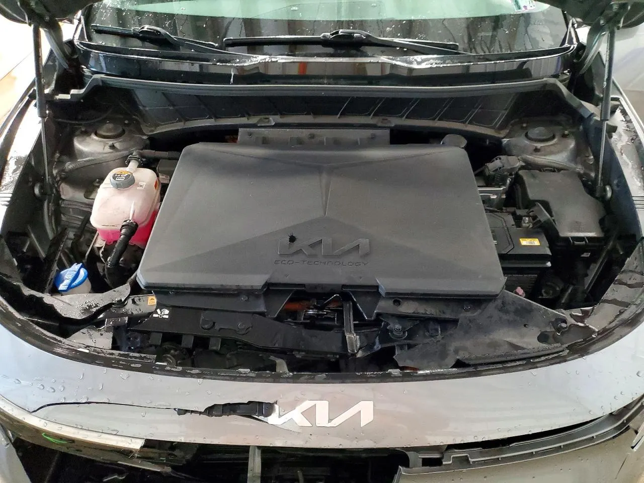 2024 Kia Niro EV Wind