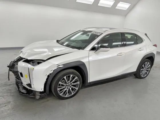 2024 Lexus UX UX 250h