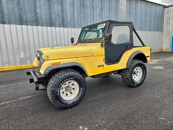 1978 Jeep CJ CJ-5