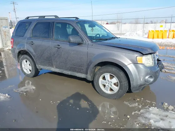 2009 Ford Escape XLT