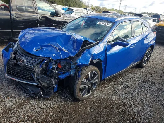 2025 Lexus UX UX 300h Premium