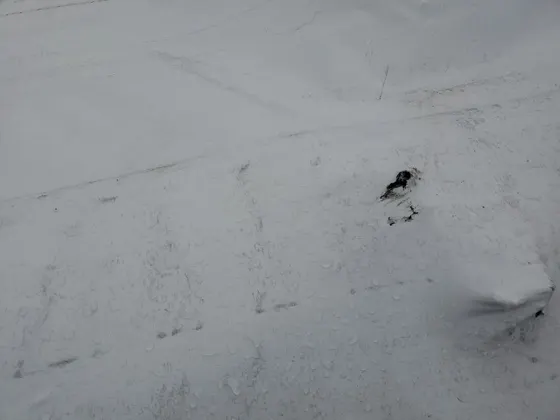 2015 Ferrari 458 Italia Speciale