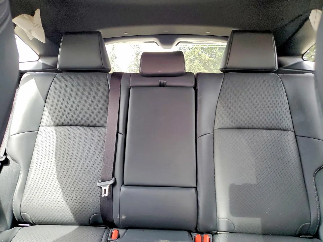 2024 Toyota Venza Limited