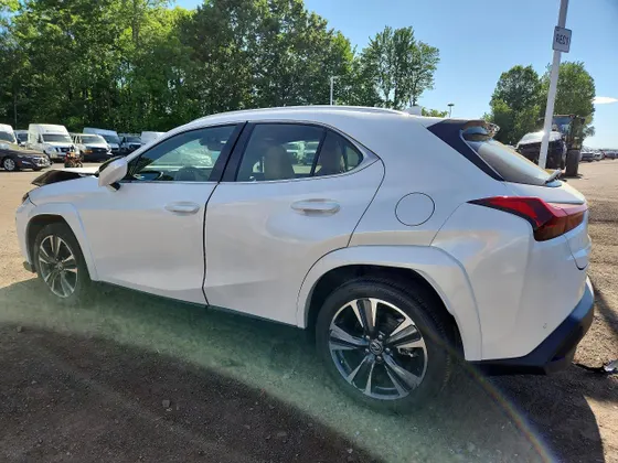 2024 Lexus UX UX 250h Premium