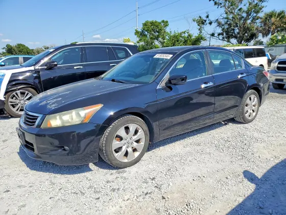 2008 Honda Accord Sdn EX-L