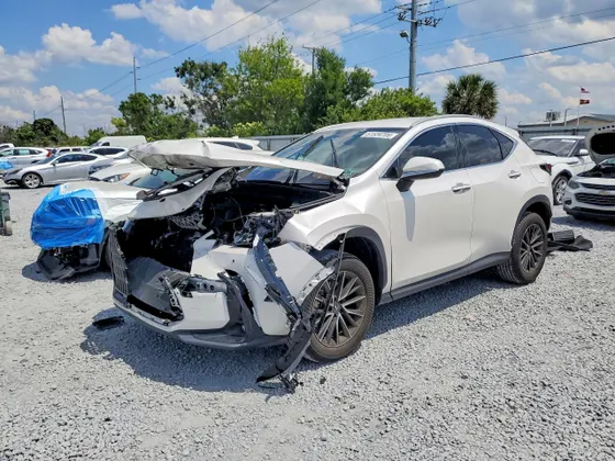 2025 Lexus NX NX 250