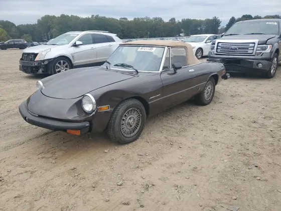 1980 Alfa Romeo Spider SPIDER VEL