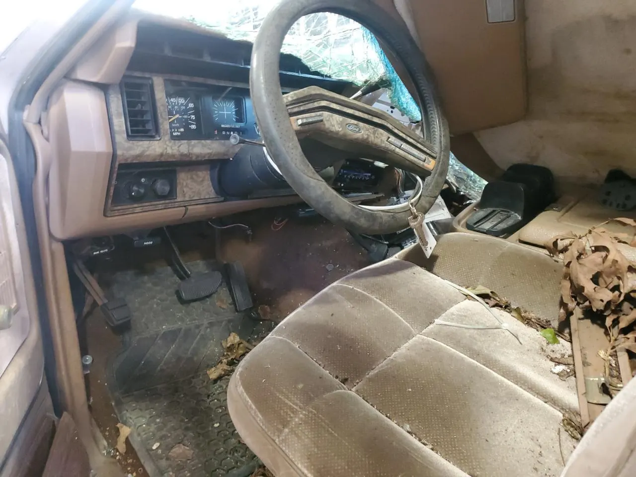 1986 Ford Bronco 4WD Custom