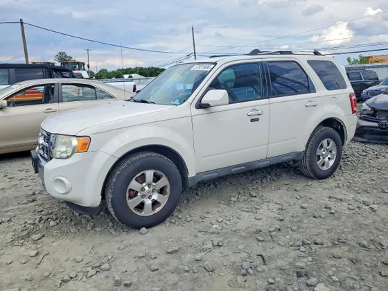 2010 Ford Escape Limited