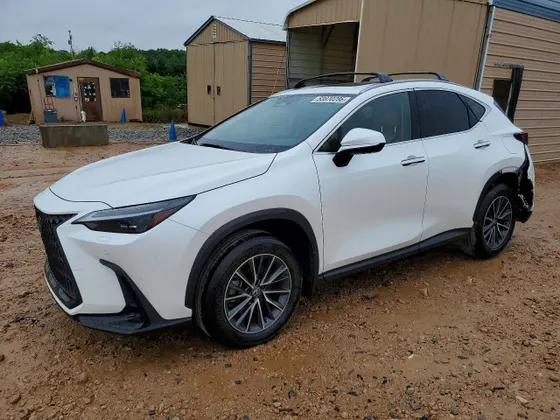 2025 Lexus NX NX 350 Luxury