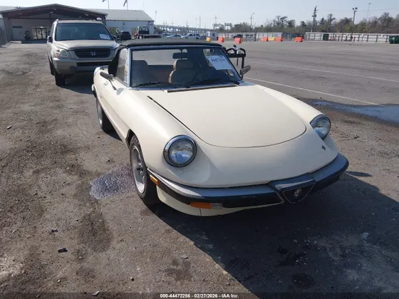 1987 Alfa Romeo Spider Graduate