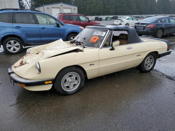 1987 Alfa Romeo Spider Graduate