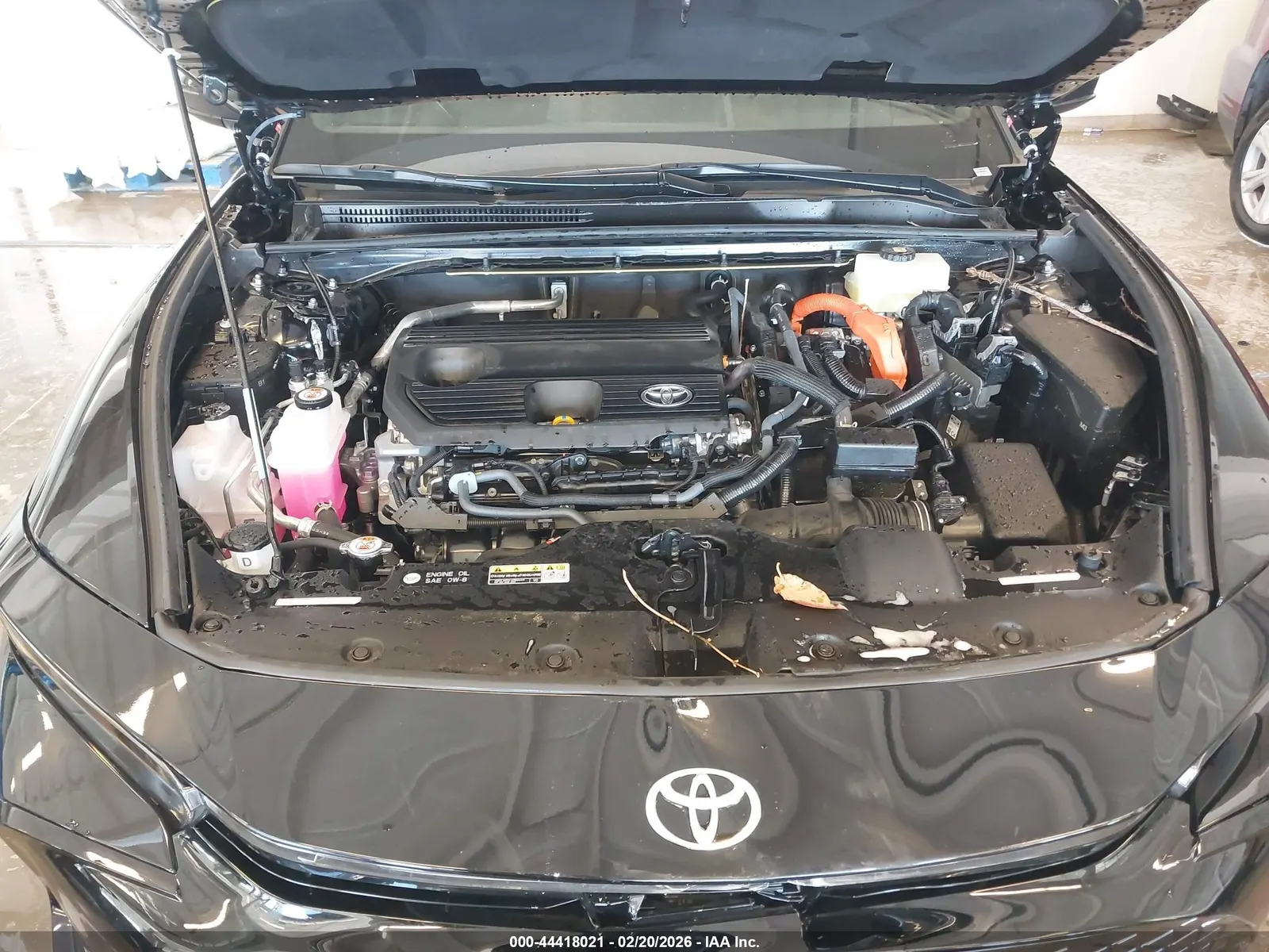 2026 Toyota Crown XLE