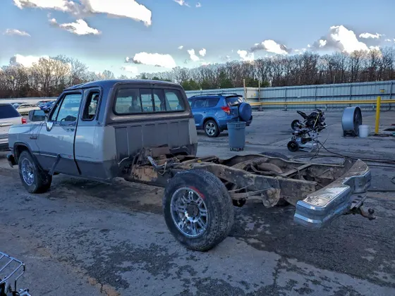 1993 Dodge D250 & W250 D200