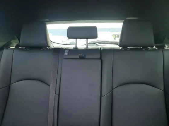 2019 Lexus UX UX 250h F SPORT