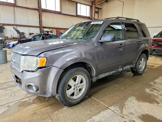 2010 Ford Escape XLT