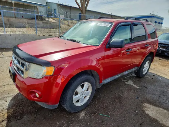 2011 Ford Escape XLT