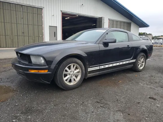 2006 Ford Mustang Standard