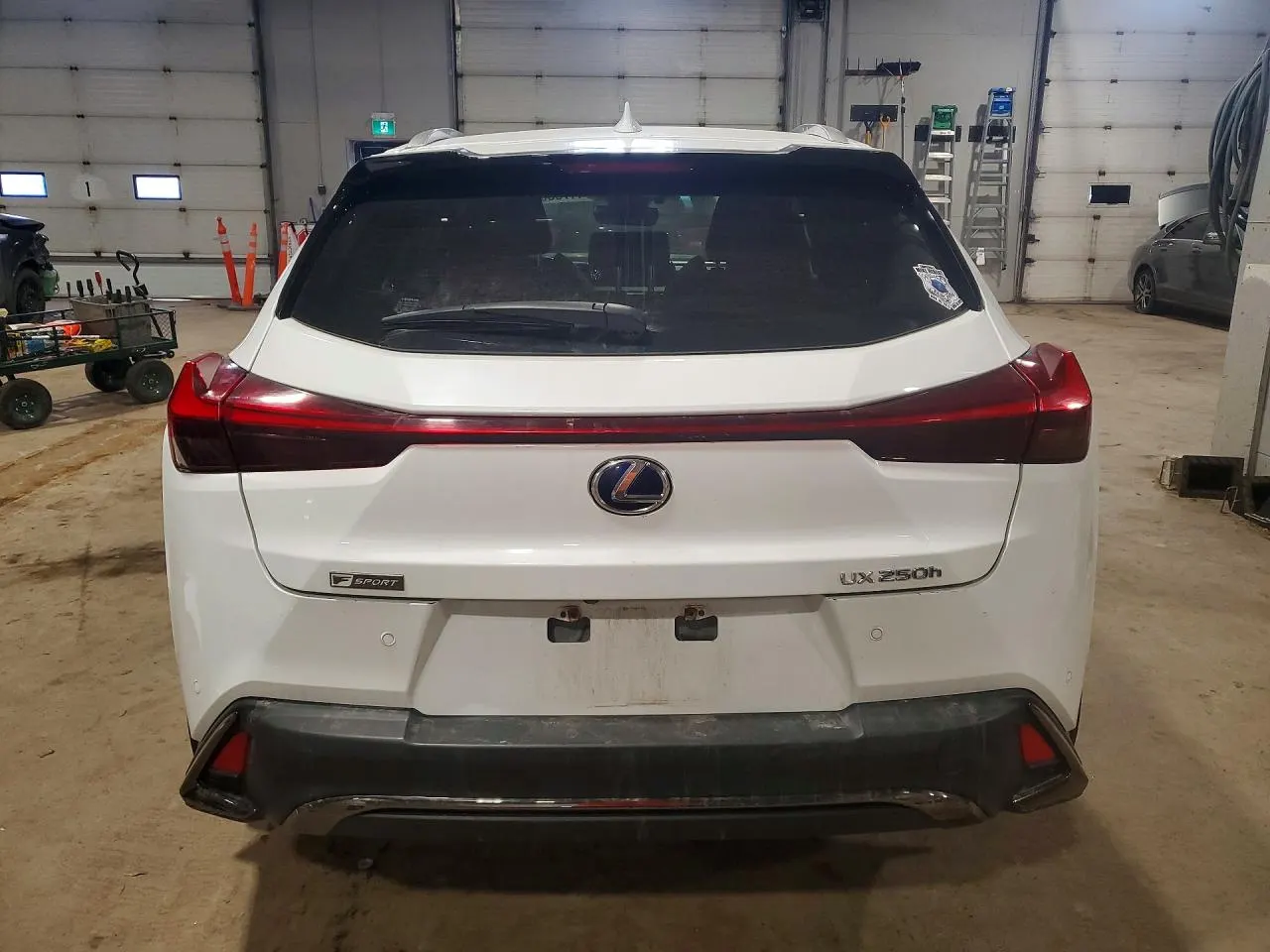 2020 Lexus UX UX 250h F SPORT