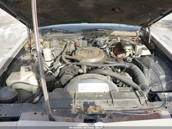 1984 Buick Park Avenue