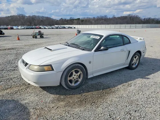 2004 Ford Mustang Standard