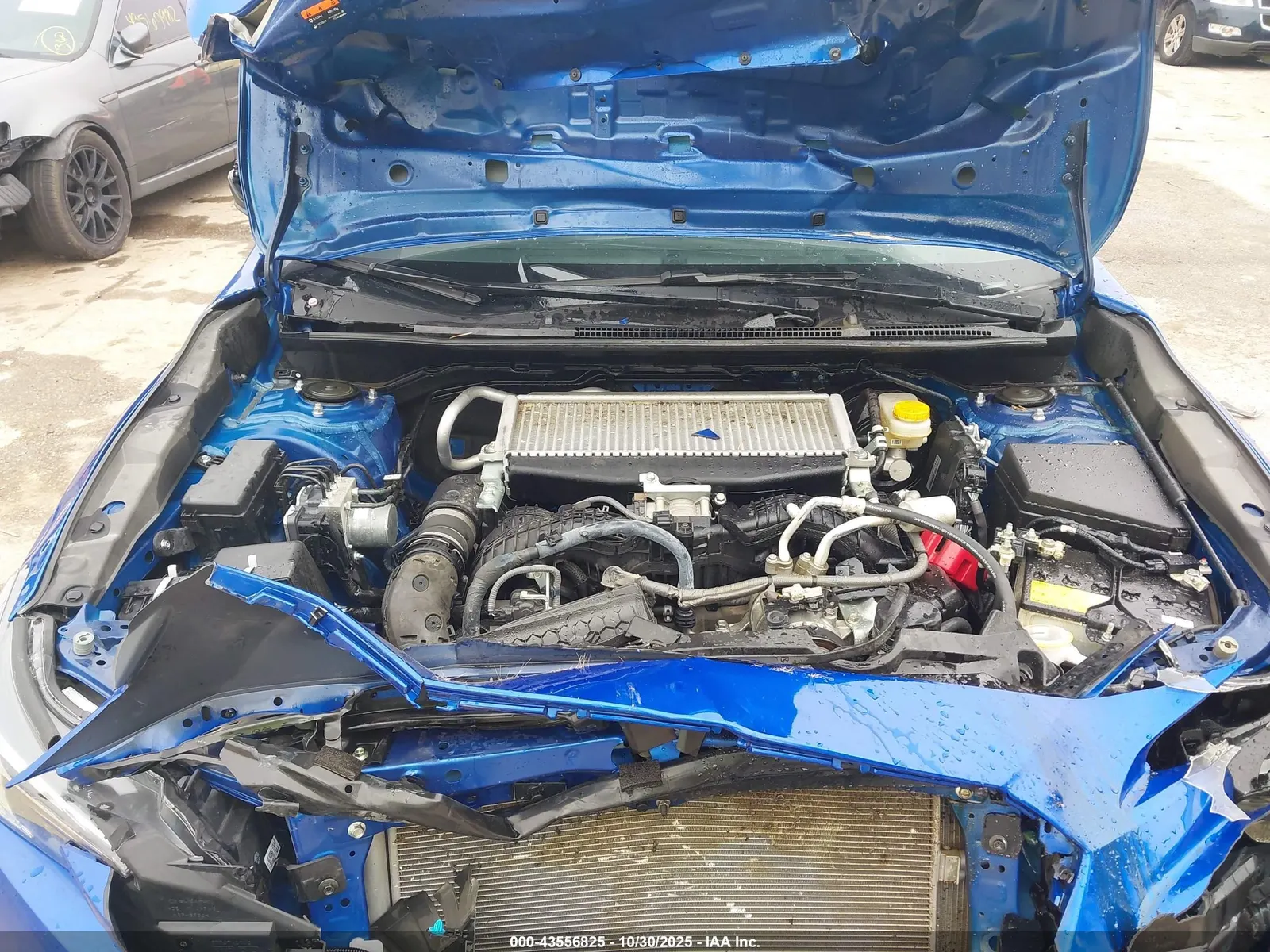 2024 Subaru WRX