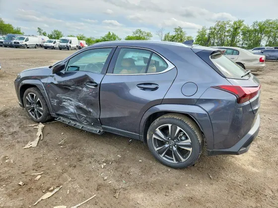 2025 Lexus UX UX 300h Premium